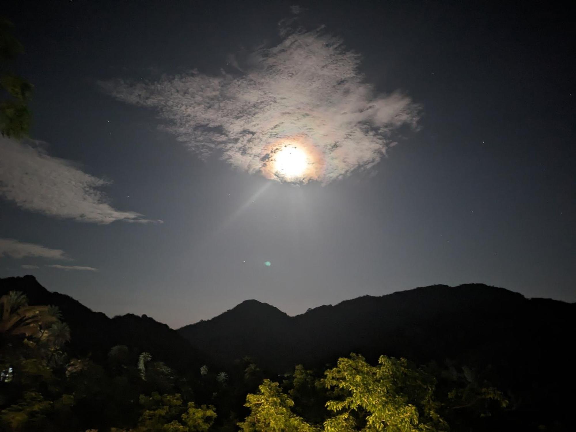 Cob House Ξενοδοχείο Mount Abu Εξωτερικό φωτογραφία